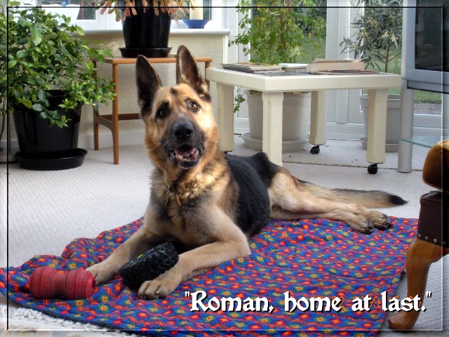 roman